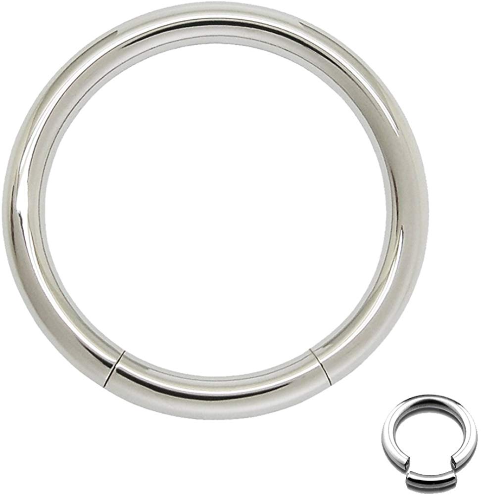 Seamless 316L Surgical Steel Segment Rings (Various Gauges & Sizes)